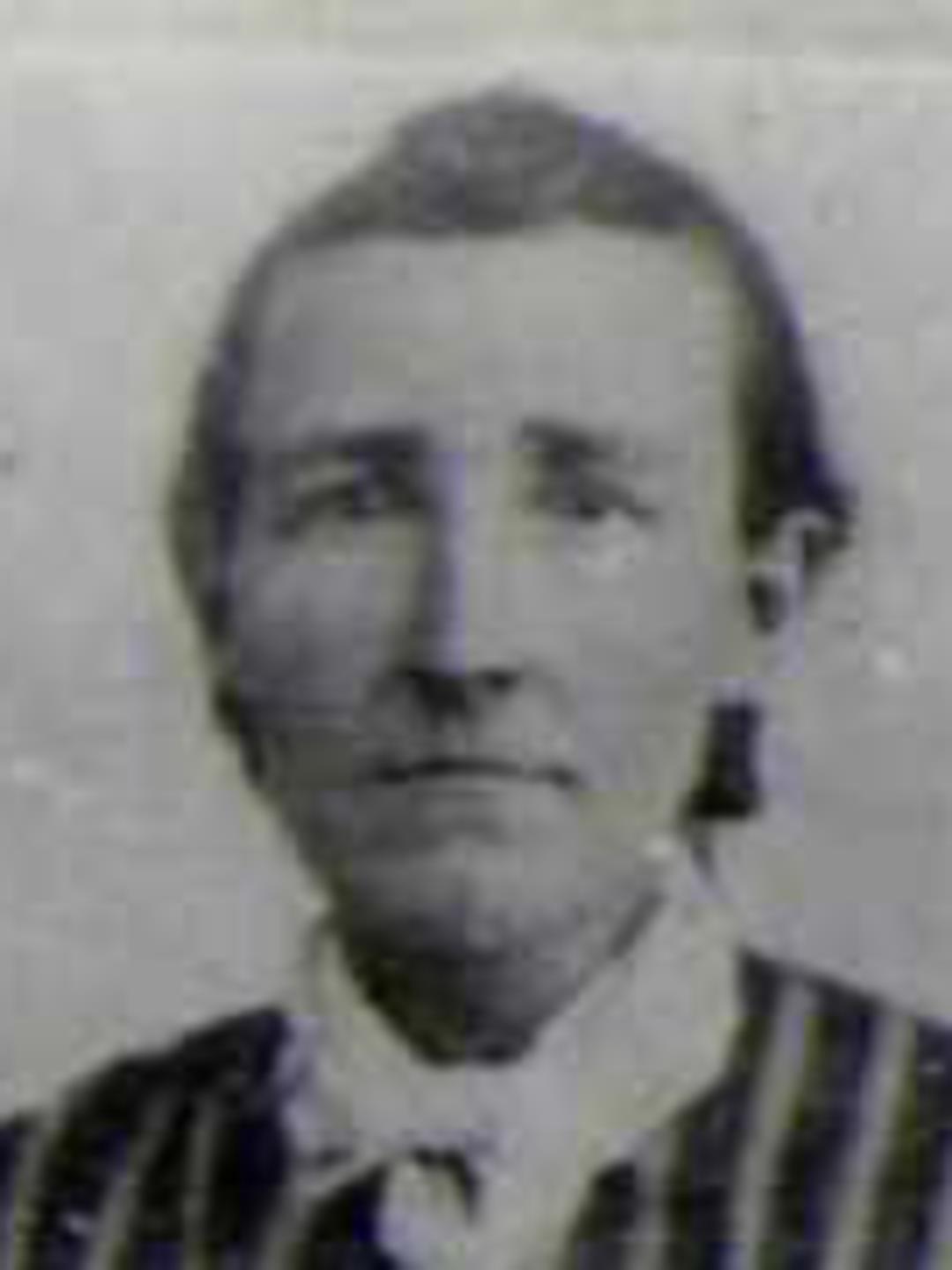 Lucinda Hayes (1829 - 1900) Profile